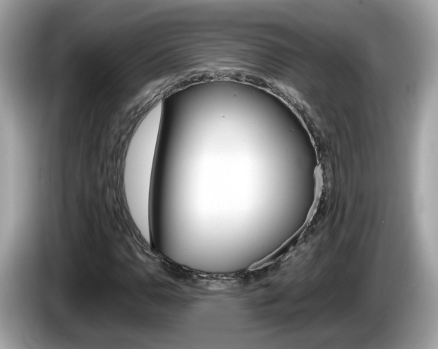 X0000086241110200703290959