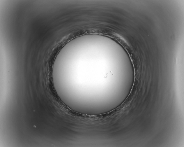X0000086241111200703290959