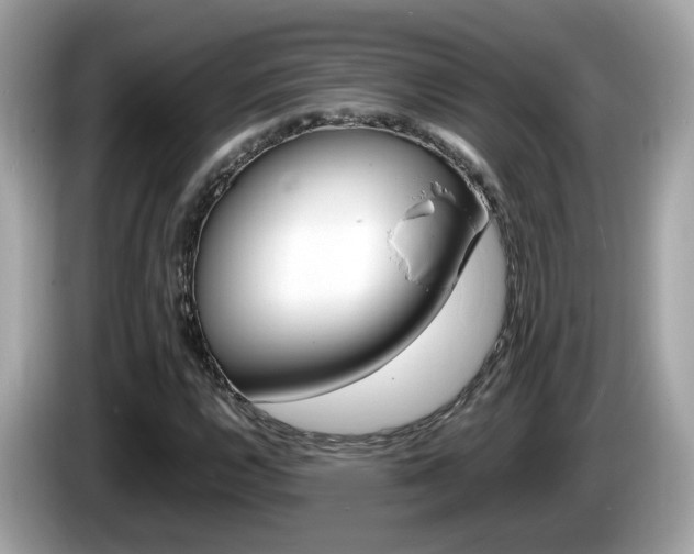 X0000086241112200703290959