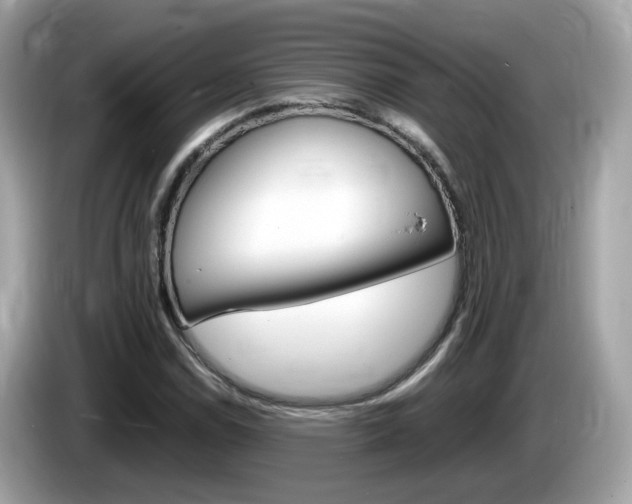 X0000086241114200703290959