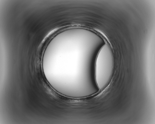 X0000086241115200703290959