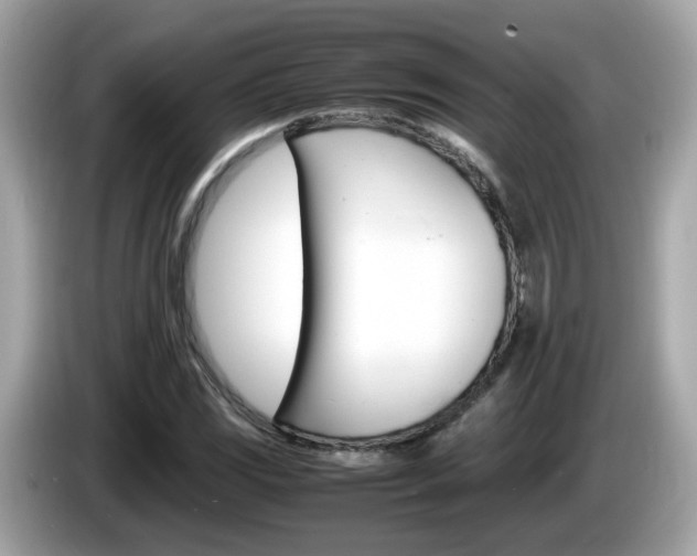 X0000086241117200703290959