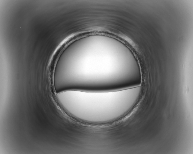 X0000086241118200703290959