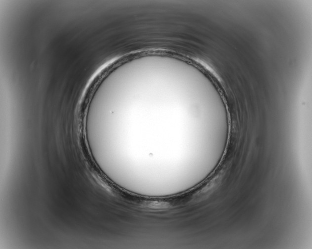 X0000086241119200703290959