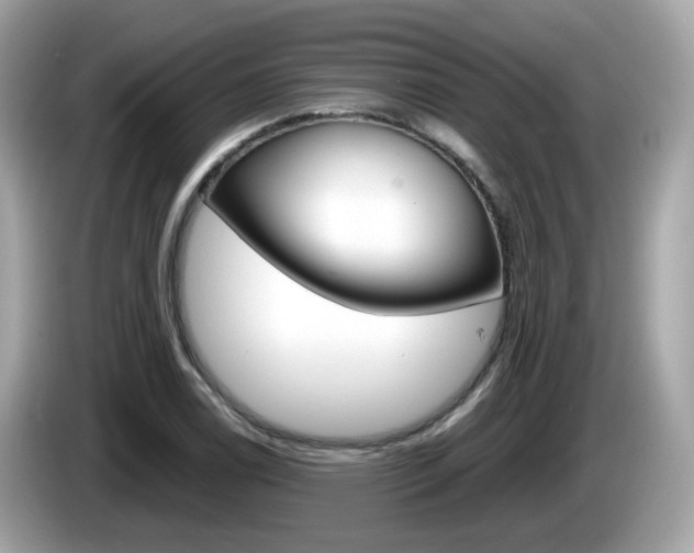 X0000086241122200703290959