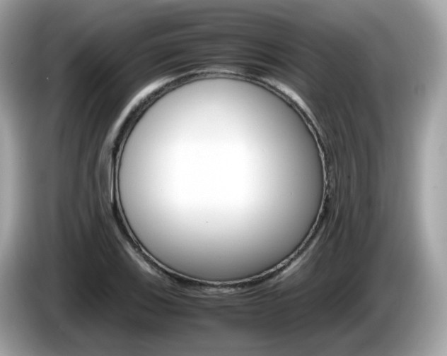 X0000086241123200703290959