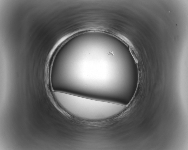 X0000086241128200703290959