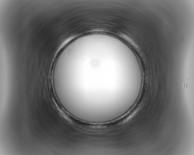 X0000086241129200703290959