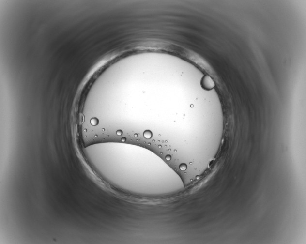 X0000086241130200703290959