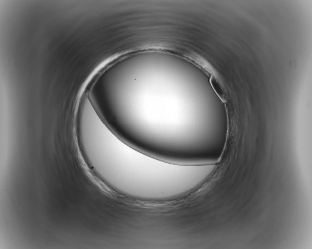 X0000086241132200703290959
