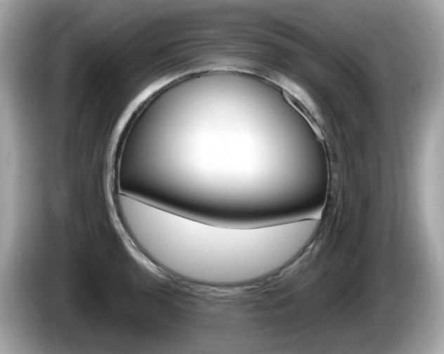 X0000086241136200703290959