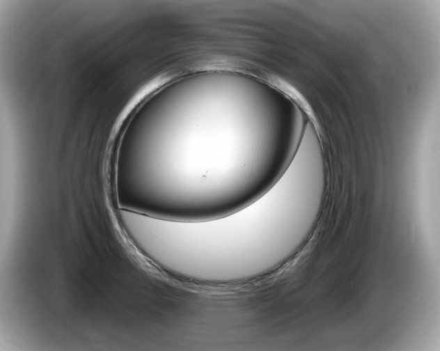 X0000086241138200703290959