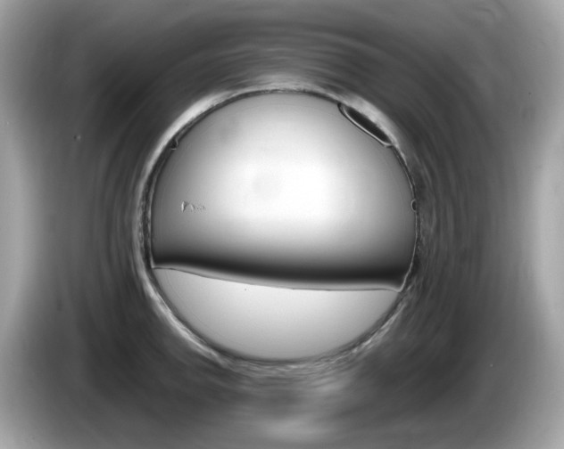 X0000086241142200703291000