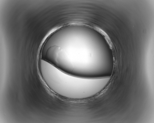 X0000086241146200703291000