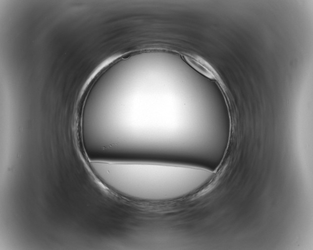 X0000086241149200703291000