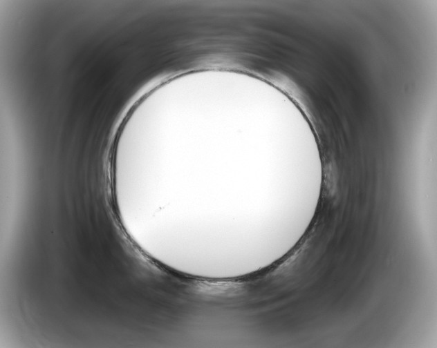 X0000086241150200703291000