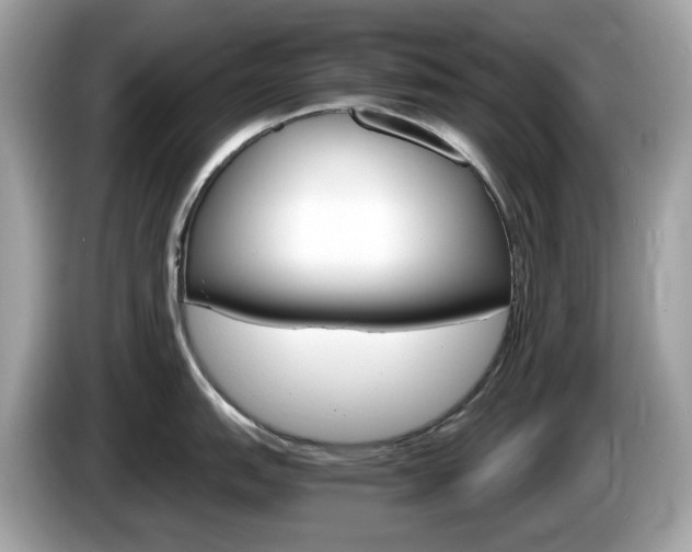 X0000086241151200703291000