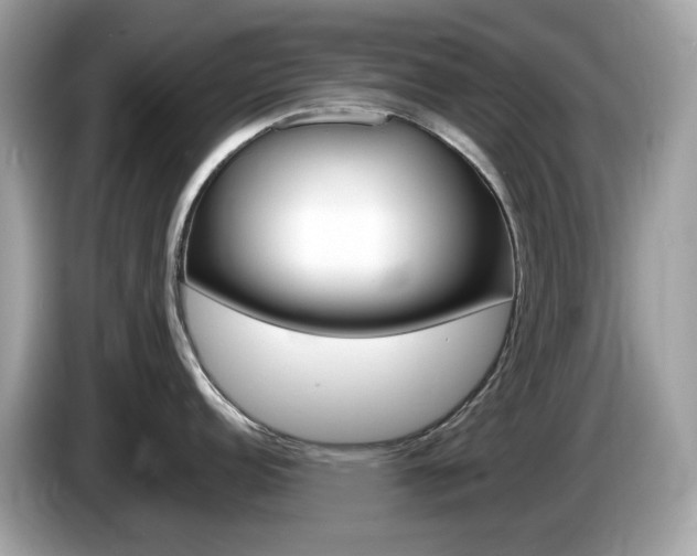 X0000086241152200703291000