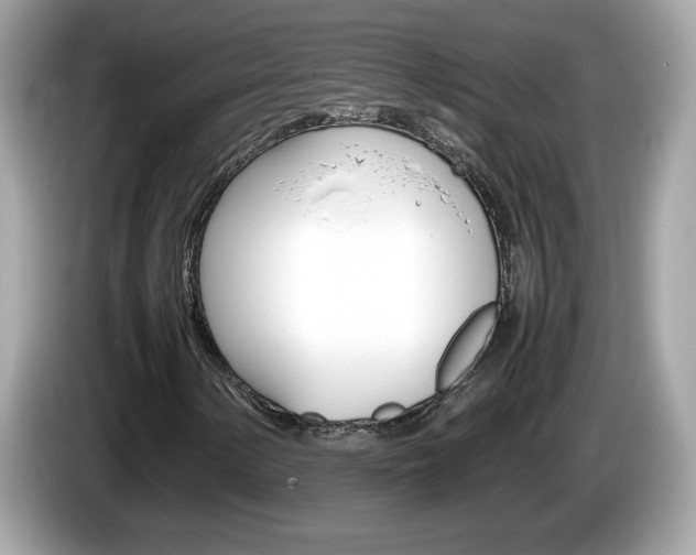X0000086241154200703290959