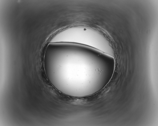 X0000086241160200703290959