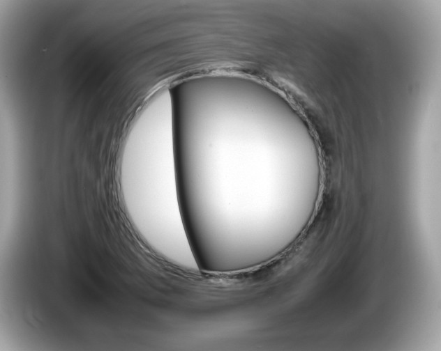 X0000086241169200703290959