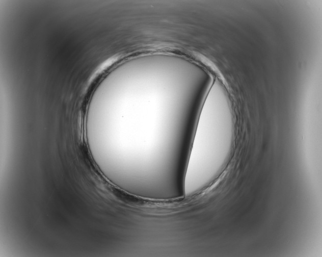 X0000086241171200703290959