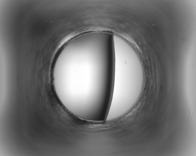 X0000086241173200703290959