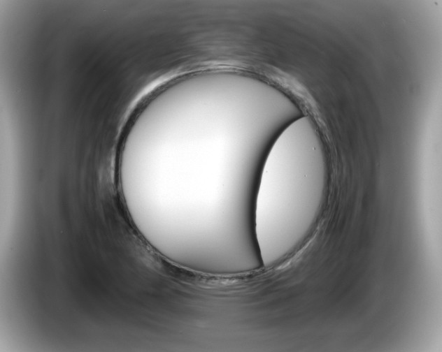 X0000086241174200703290959