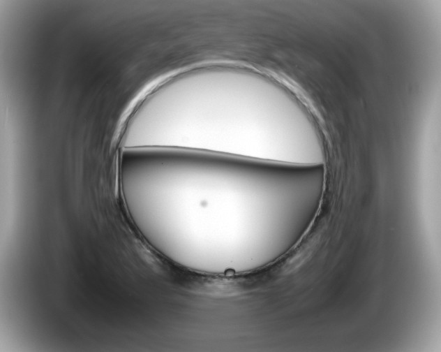 X0000086241175200703290959