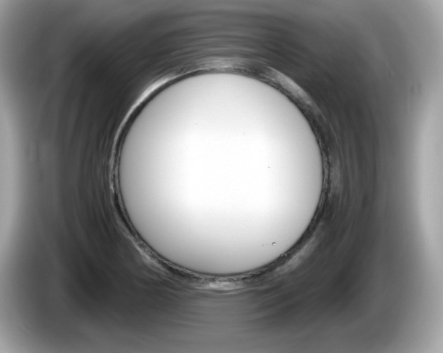 X0000086241178200703290959