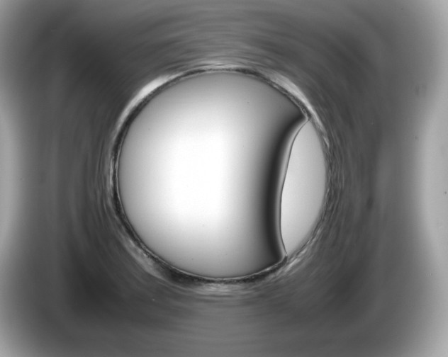 X0000086241179200703290959