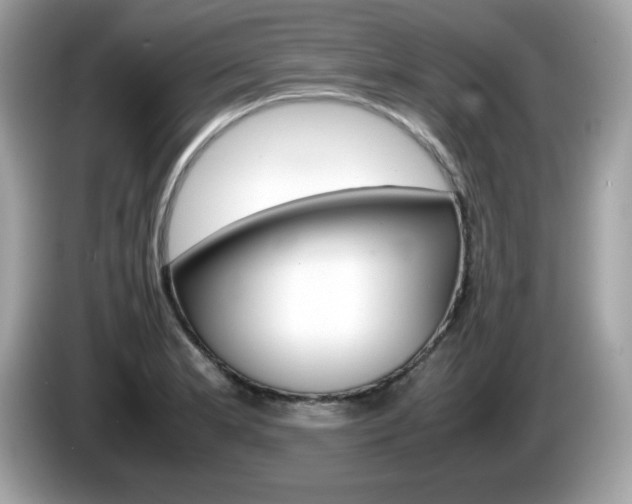 X0000086241181200703290959