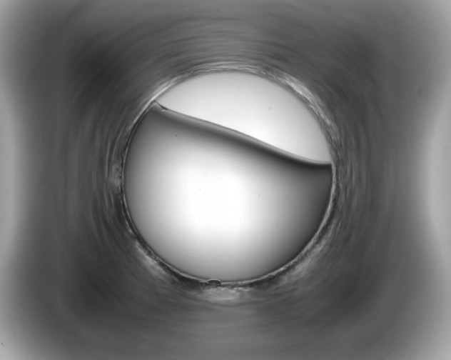 X0000086241185200703290959