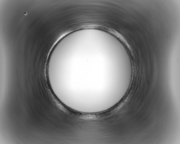X0000086241186200703290959