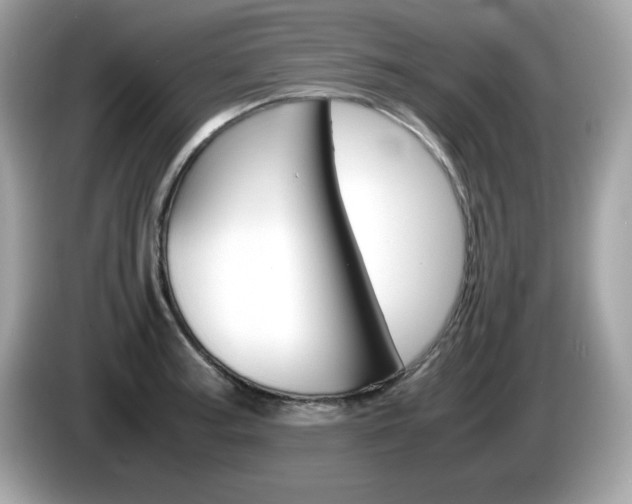 X0000086241187200703290959