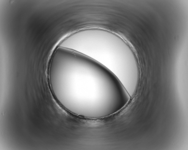 X0000086241189200703290959
