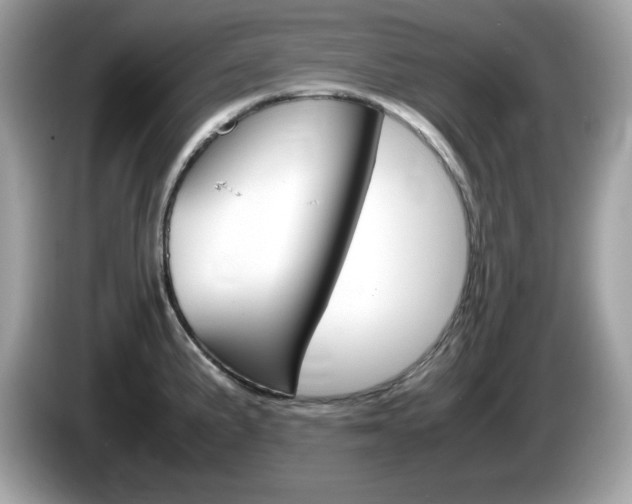 X0000086241191200703290959