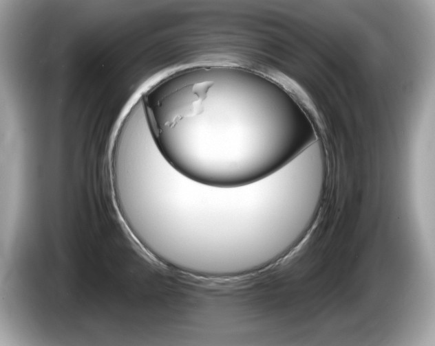 X0000086241192200703290958