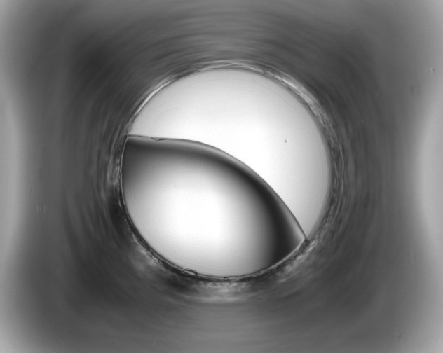 X0000086241193200703290958