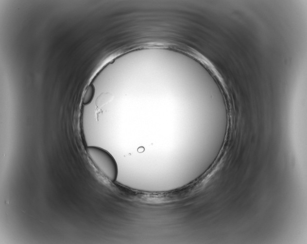 X0000086241194200703290958
