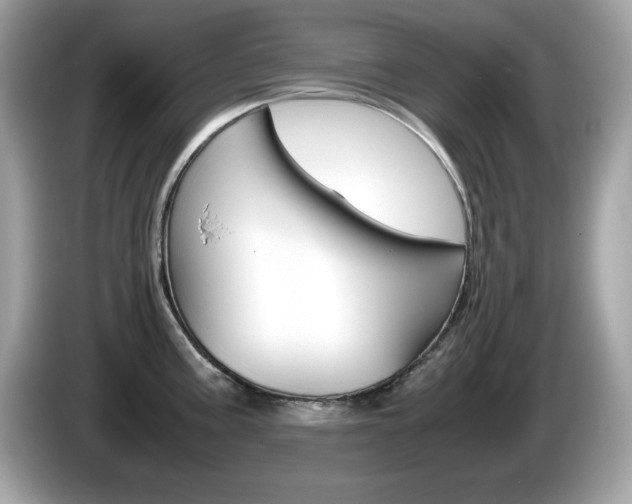 X0000086241195200703290958