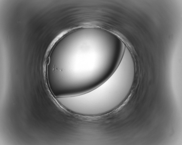 X0000086241196200703290958