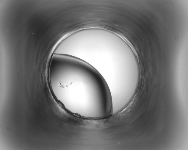 X0000086241197200703290958