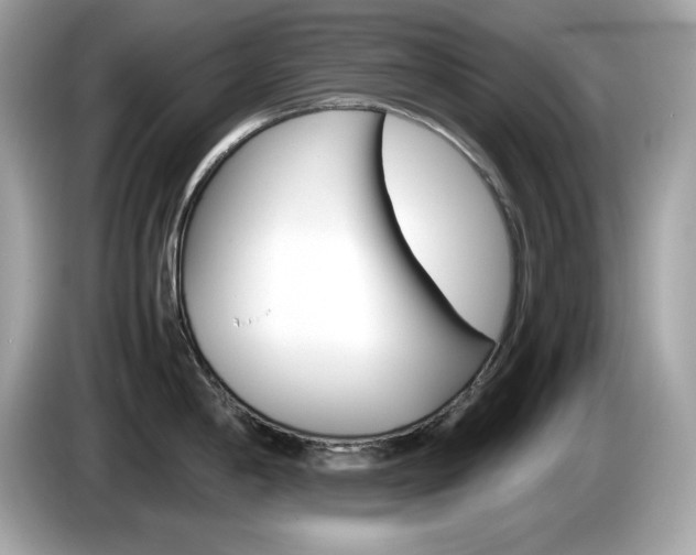 X0000086241198200703290958