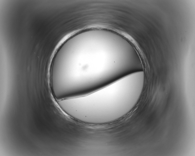 X0000086241199200703290958