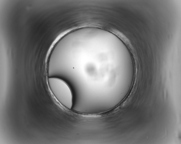 X0000086241200200703290958