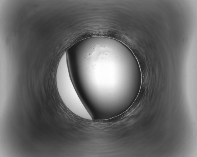X0000086241202200703290958