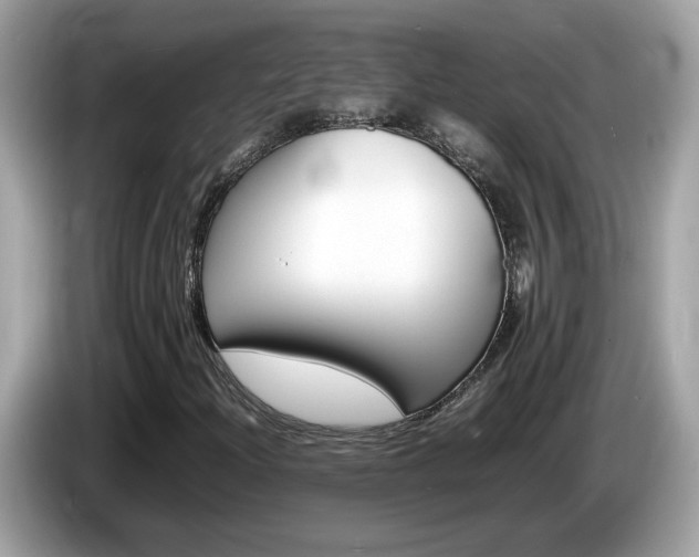 X0000086241204200703290958