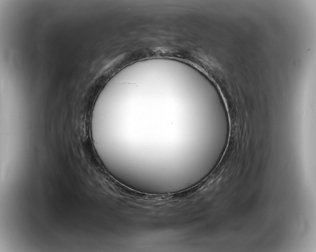 X0000086241205200703290958