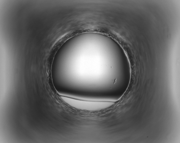 X0000086241206200703290958